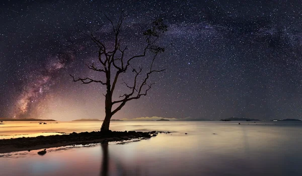 Panoramautsikt över stjärnklar natt med Vintergatan — Stockfoto