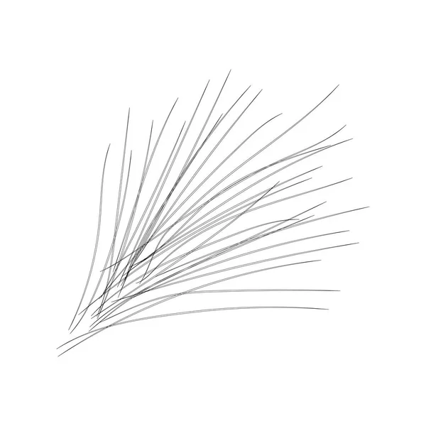 一丛丛云杉针头设计的矢量元素 单色涂鸦 — 图库矢量图片