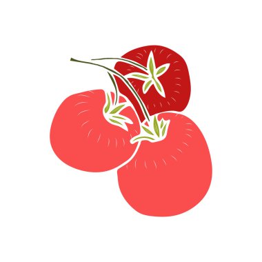 Kırmızı domatesli dal. Tasarım için vektör izole öge. Çizim illüstrasyonu.