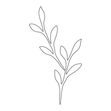Plant with leaves. Vector outline element for design.
