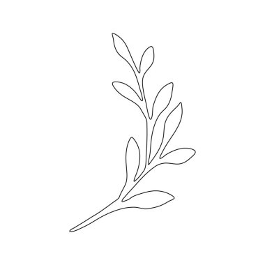 Yapraklı dal. Tasarım için vektör ögesi.