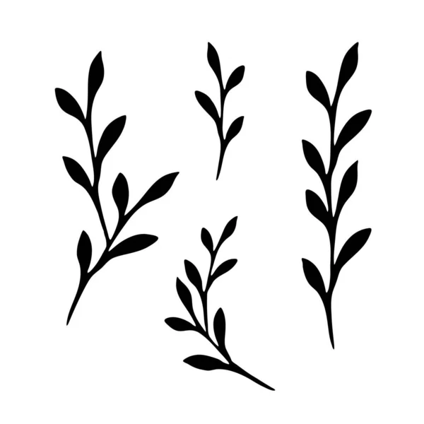 Set Hand Drawn Twigs Leaf Monochrome Illustration Vector Elements Design — Stock Vector