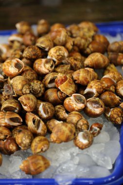 Deniz ürünleri Pazar Babylon'da benekli.