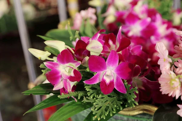 Belo buquê de orquídeas roxas . — Fotografia de Stock