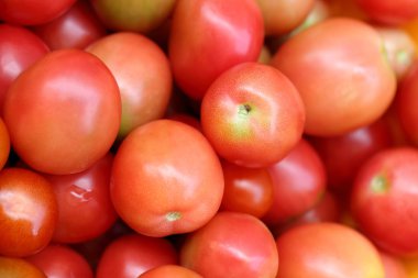 Arka plan kırmızı domates, seçici odak.