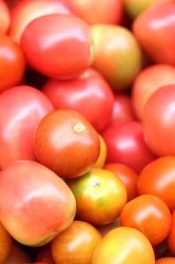 Arka plan kırmızı domates, seçici odak.