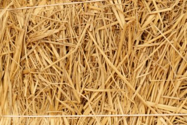 Haystack arka plan bulanık.