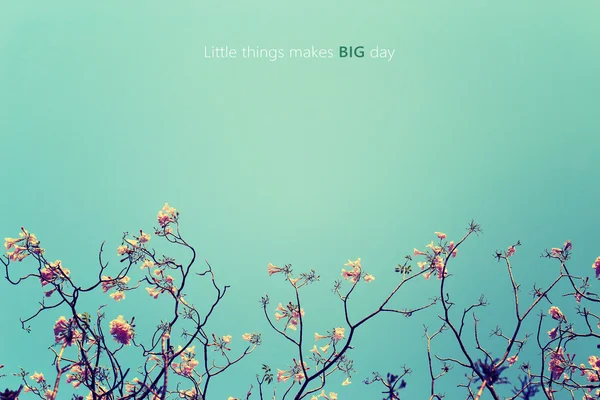 Inspirational Typographic Quote - Little things makes big day. — Stock Photo, Image