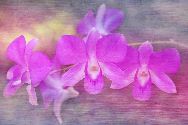 Lila Orchideenblüten im weichen und unscharfen Stil mit Maulbeerpapier-Textur. — Stockfoto