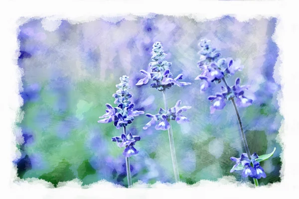 Flor silvestre azul com fundo borrado, aquarela na textura da tela . — Fotografia de Stock