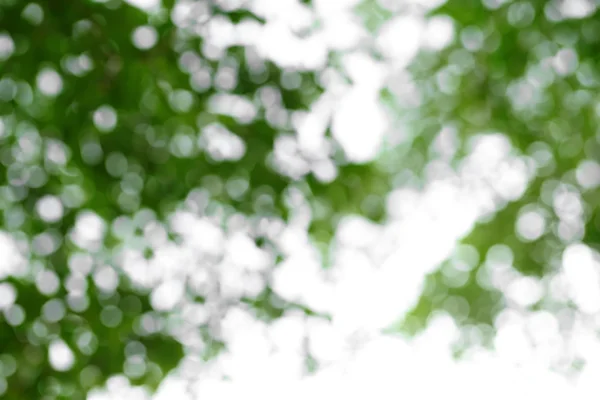 Abstract spring background. Green natural background of out of focus forest or bokeh. — Stock Photo, Image