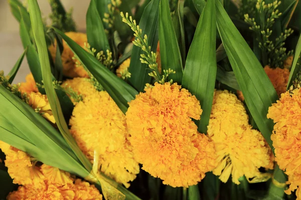 Bunch of marigold and pandanus leaf - flowers for offerings Buddha in Buddhist religious ceremony. — Stock Photo, Image