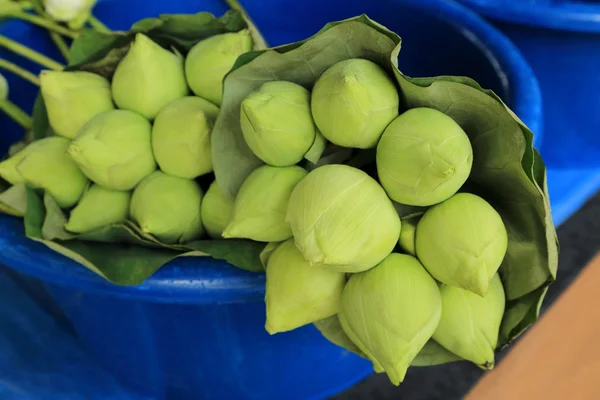 Lotus flowers for offerings Buddha in Buddhist religious ceremony. — Stock Photo, Image