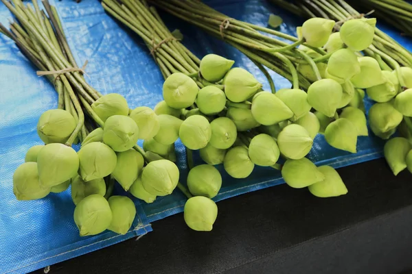 Bunch of lotus flowers for offerings Buddha in Buddhist religious ceremony. — Stock Photo, Image