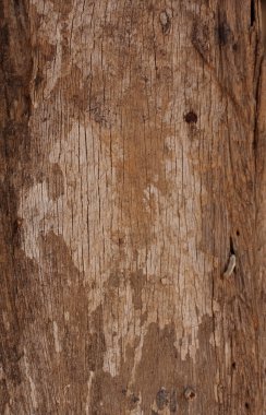 eski ahşap arka plan