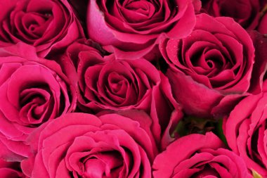 Arka plan olarak pembe gül buketi