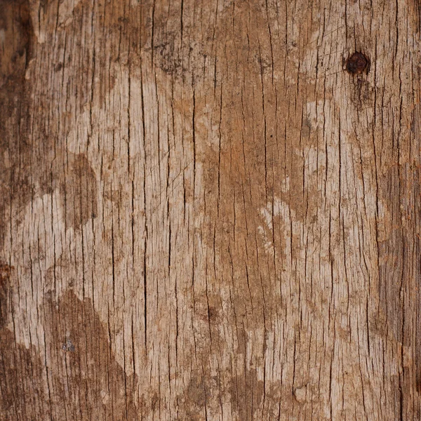 Old wood background — Stock Photo, Image