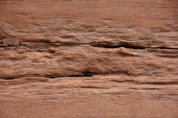 Rozklad dřeva, staré dřevo textury. — Stock fotografie