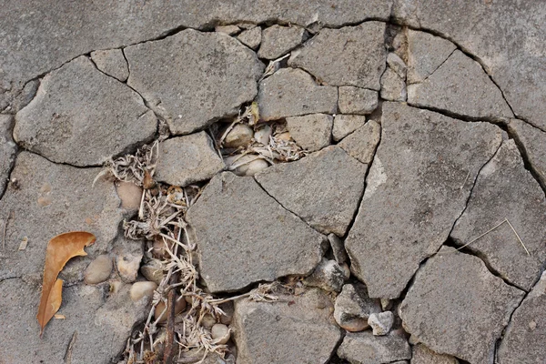Kırık çimento yolu — Stok fotoğraf