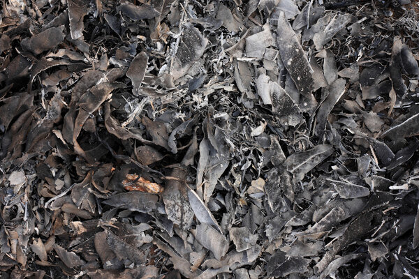  листья шлака
