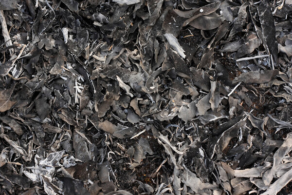 листья шлака
