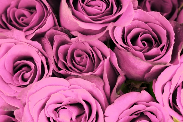 Pink roses bouquet as background — Stock Photo, Image