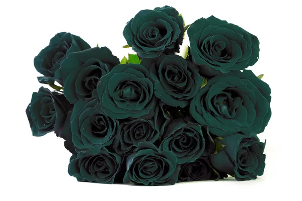 Bouquet de roses noires sur fond blanc — Photo