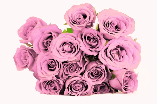 Fantasia rosas roxas buquê no fundo branco — Fotografia de Stock