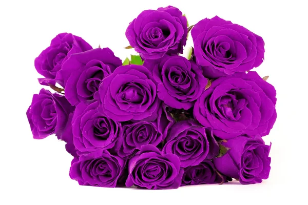 Bouquet de roses violettes fantaisie sur fond blanc — Photo