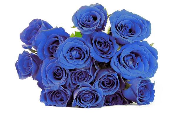 Fantaisie bouquet de roses bleues sur fond blanc — Photo