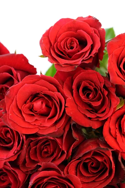 Μπουκέτο με κόκκινα τριαντάφυλλα σε άσπρο φόντο — Φωτογραφία Αρχείου