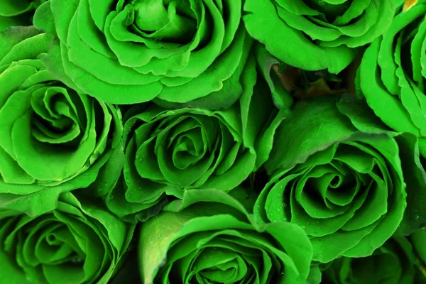 Bouquet de roses vertes comme fond — Photo