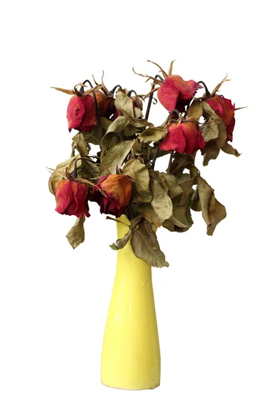 Welke Rose, abgestorbene Rose in Vase auf weißem, isoliertem Hintergrund — Stockfoto