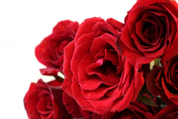 白い背景に隔離された赤いバラの花束 — ストック写真