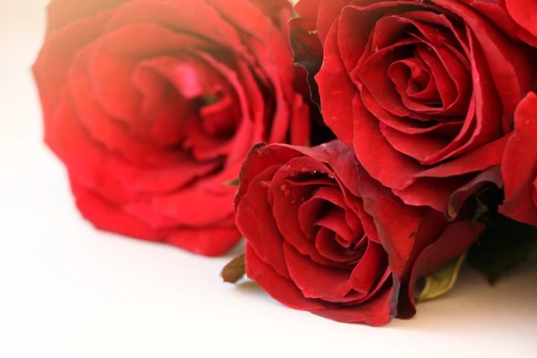 Red roses bouquet isolated on white background Royalty Free Stock Photos