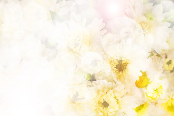 白色鲜花花束和散景背景. — 图库照片