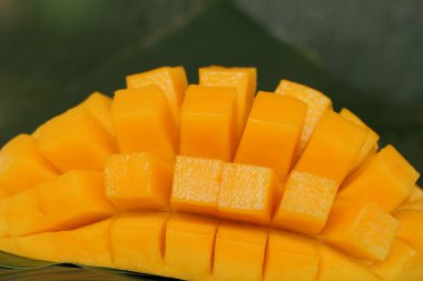 Olgun mango, küp kesilmiş