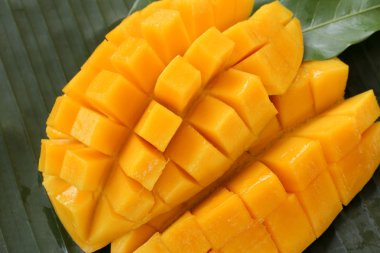olgun mango