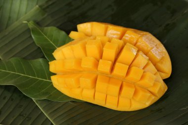olgun mango
