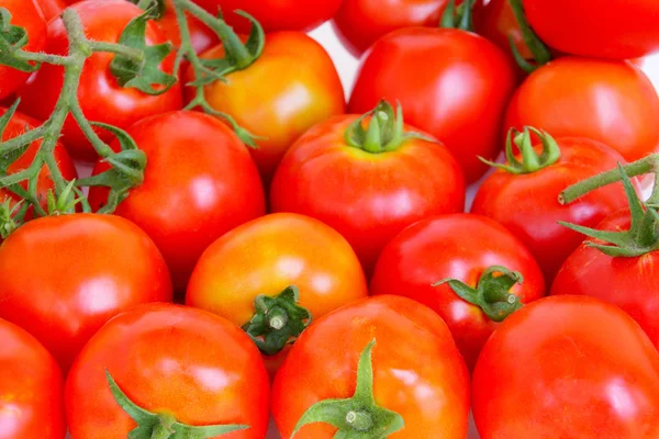 Tomates rojo-anaranjados — Foto de Stock