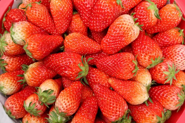 Frische Erdbeere, von oben gesehen — Stockfoto