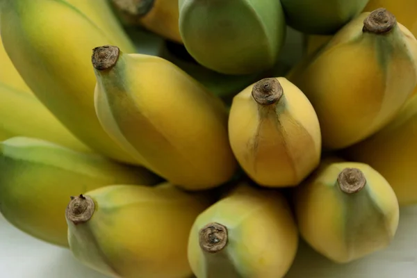 栽培バナナ — ストック写真