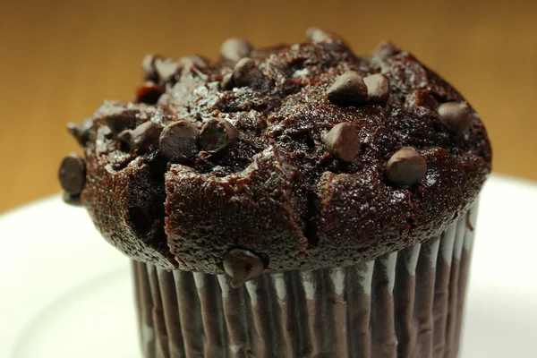 Chocolate muffin — Stock Photo, Image