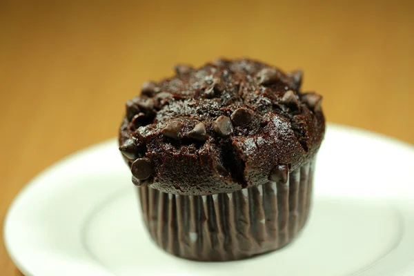 Chocolate muffin — Stock Photo, Image