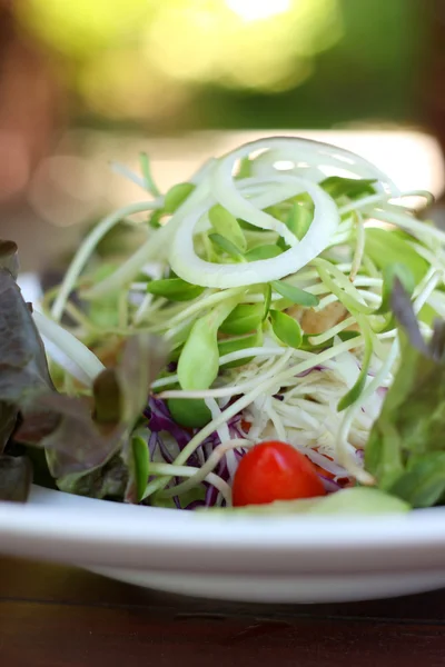 Detailní záběr čerstvá zelenina salát recept. — Stock fotografie