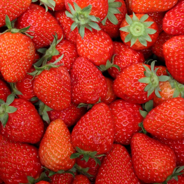 Fresh strawberry Stock Image