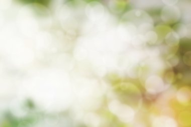sabah sahne bokeh, arka plan