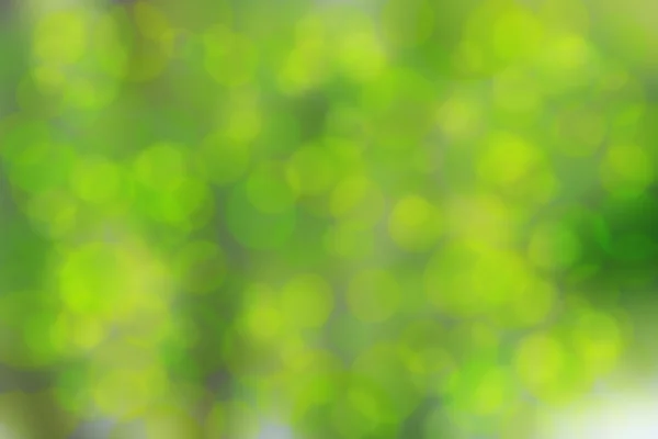 Un'immagine di sfondo verde bokeh — Foto Stock