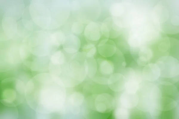 Abstract bokeh background. white and green. — Stock Photo, Image