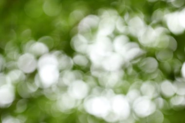 Doğal kaynak bokeh, arka plan.